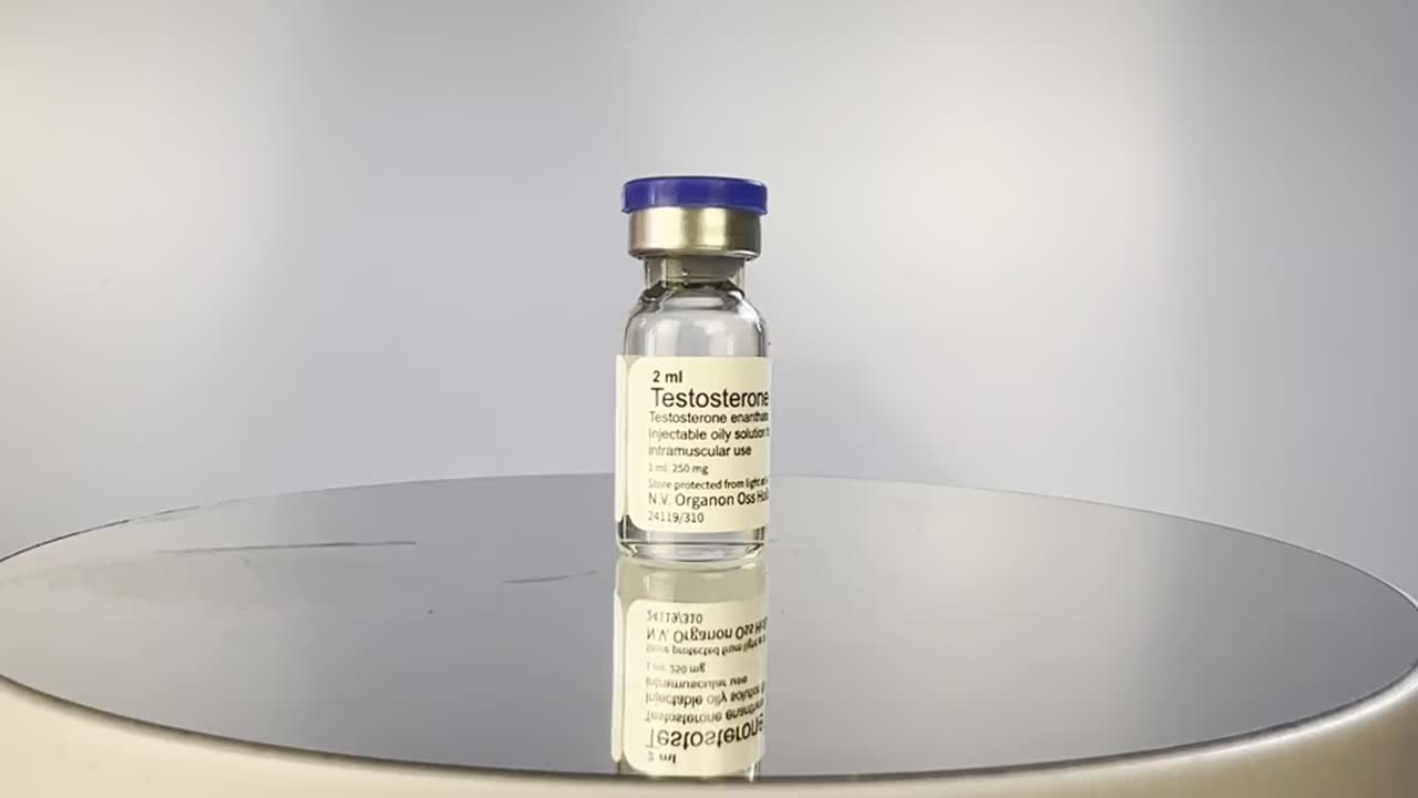 Testosterone Depo 250 Mg Organon